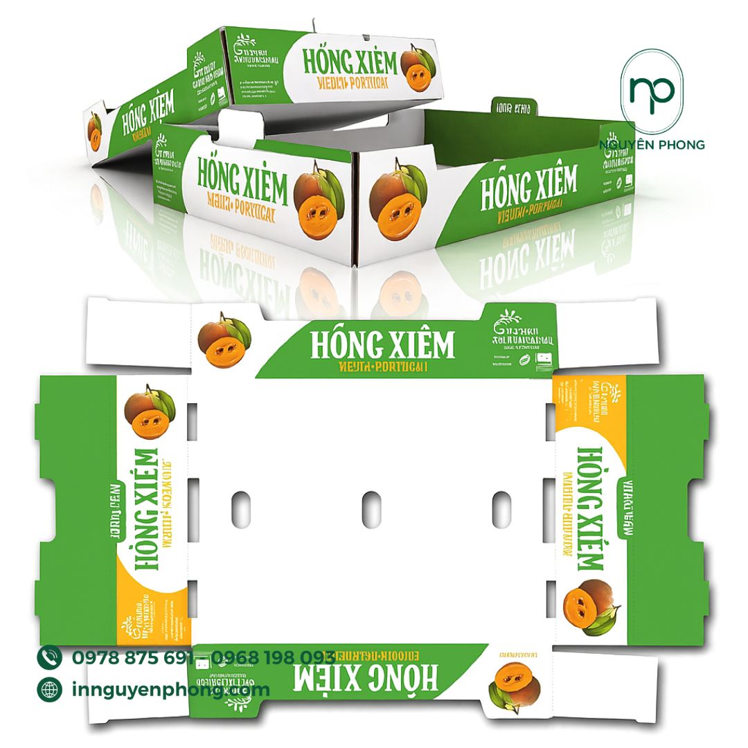 Mẫu thùng carton đựng hồng xiêm 